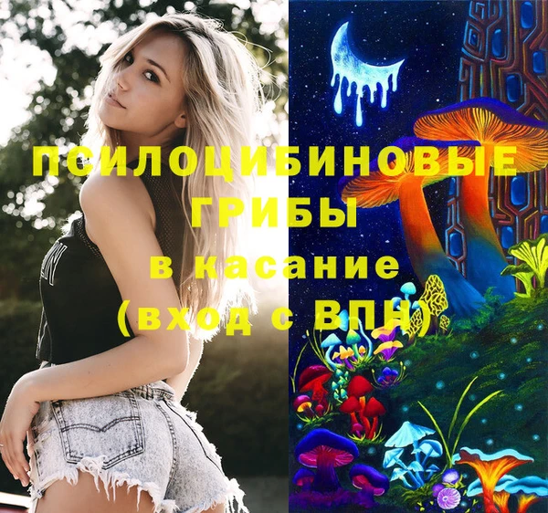 стафф Алексеевка