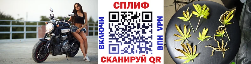 гидра ТОР Курчалой Бошки марихуана марихуана закладка